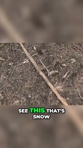 51K views · 387 reactions | So Busted! Multiple beings caught on camera On their system. Remember none of this is an accident. | Colorado Bigfoot | Facebook