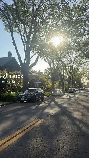 Discover Berkeley California, peaceful streets, Bay Area lifestyle, California vibes, quiet neighborhoods USA, Silicon Valley life, scenic city walk, hidden gems in California #Berkeley #California #BayArea #SiliconValley #USA