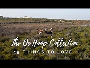 The De Hoop Collection: The Ultimate Western Cape Weekend Getaway