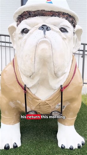 Georgia Power on Instagram: "All we have to say is… Go Dawgs!"