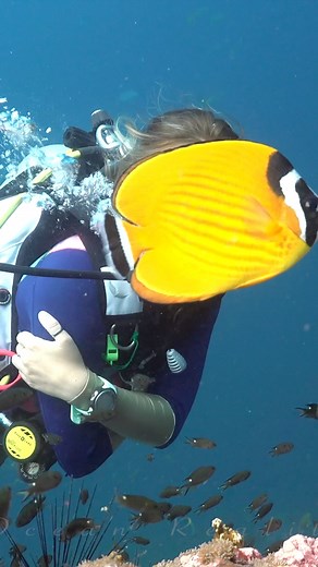 Priceless Reaction | Ocean Reality Channel