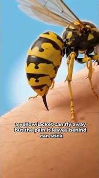 What Happens Inside Your Body After a Yellow Jacket Sting? Pt.2 #