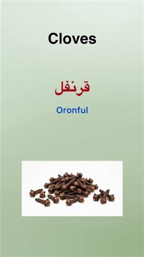 Must-know Egyptian spices for your kitchen! 🌿 #EgyptianArabic #LearnArabic #arabicvocabulary