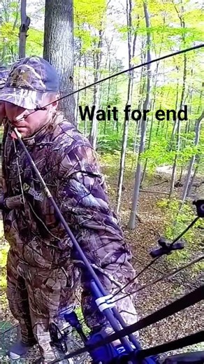 BRUISER whitetail Ohio rut deerhunting and perfect shot #shots #deerhunting #bowhunting #chase #hunt