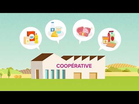 What's an agricultural cooperative ?
