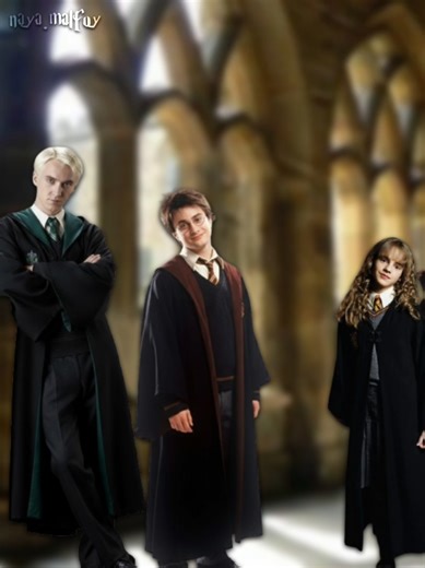 Exploring Drarry Dynamics in Harry Potter Universe