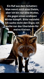 Ein Ruf aus dem Schatten: Man nennt mich eine Diebin, aber ich bin nur eine Mutter, die gegen einen endlosen Winter kämpft. Bitte versteht: Ich suche nicht den Ärger, ich suche nur das Überleben für meine Kleinen. | Tipps für Haus und Garten