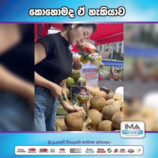 කොහොමද ඒ හැකියාව ! #ima #ima_malabe #maths #com #art #tech #online #physical_class #accounts #ol #al #ima_online #06monthsal #studentsuccess #ima #class #06monthsol #studentsuccess #media #ima_media #fyp #viral #AdvancedLevel #InspiringYouth #GayanIddamalgoda #06monthsAL #media #MediaIddamalgoda #gayan_iddamalgoda #yan_sir #BST #ICT #SFT #technology #imatech #Etech #tech | මාස 06න් OL - Rapid Course