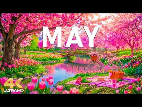 Blossoms in May 4K – Calm Spring 2026 🌸 Vibrant Gardens, Soft Morning Glow & Relaxing Nature