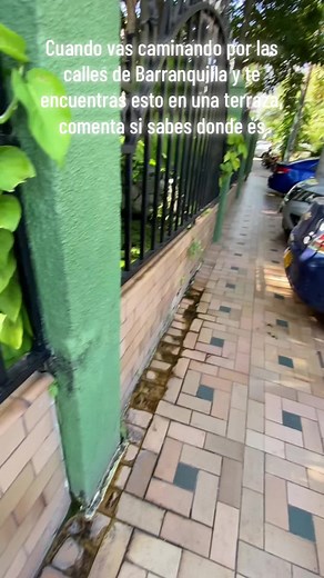 Emilio Lebolo: Terraza de Peces en Barranquilla