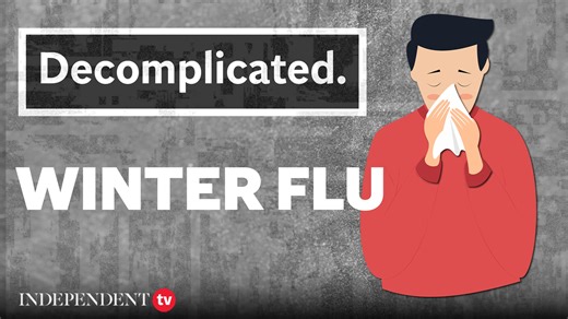 What causes the winter flu and how does it differ from other types of flu and colds? | Decomplicated