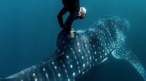 The Rolex Awards - Milestones