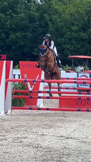 one down with mike today but honestly he’s jumping better and better each round. it seems like he’s finally found his most efficient jumping technique cause he looks scopeyyyyy🤩🐥