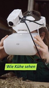 Was sieht eine Kuh? Was erkennt sie in ihrem Stall? Am Versuchs- und Bildungszentrum Achselschwang schauen Junglandwirte mit Hilfe einer Virtual-Reality-Brille durch die Augen einer Kuh. Aha-Effekte garantiert! | Unser Land