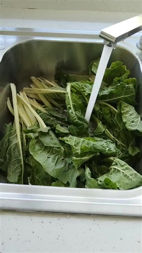 mpandeyamakhosi (@mpandeyamakhosimbatha)’s videos with Listen to You're Heart - Pro-Tee