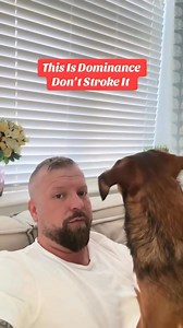 Dont stroke it 😂 It’s a joke 😂 a dog climbing on you looking for a fuss is just that, a dog climbing on you looking for a fuss. Of course if you like it, stroke it, reward it, if you don’t stop it. Plus having the ability to invite this when you say and end it when you say, shows your dog clear rules. I invited Mila onto me. #dogs #dogs #funny #react | Southend Dog Training