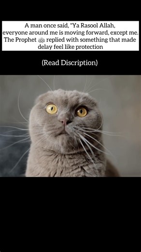 This will change how you see delay- description⬇️