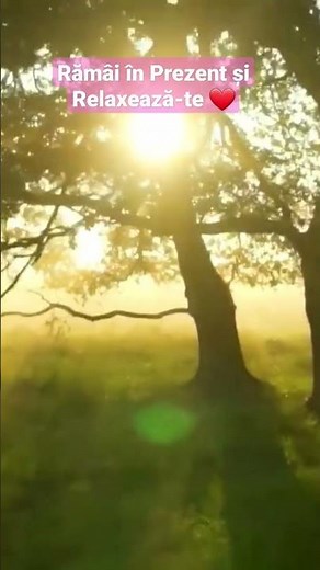 Muzică Liniștită de Relaxare și Conștientizare 🌞