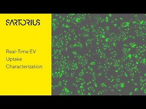 Real Time EV Uptake Characterization Using an Incucyte®️ Live Cell Imaging System