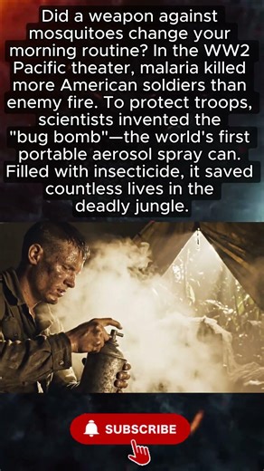 The WW2 "Bug Bomb" That Saved Millions 🦟