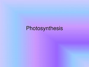 Photosynthesis - SlideServe