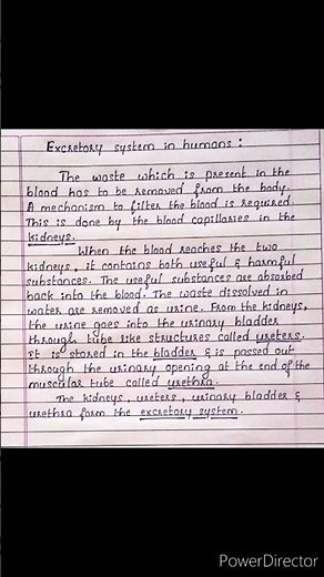 Class-7. Excretory system in humans# Science.