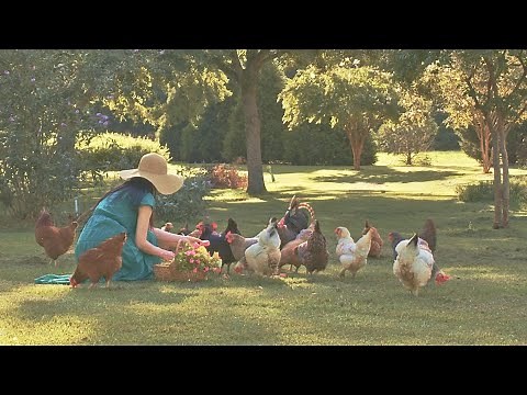 My beautiful summer garden 🧺 rural cottage and summer cooking