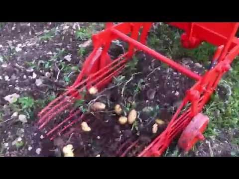 arracheuse de pomme de terre
