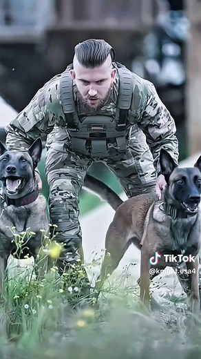 Puppy K9 Training Tips for New Dog Owners