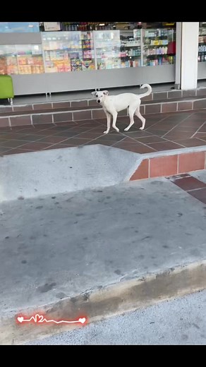 Dios es grande ❤️ | Ricardo Camargo