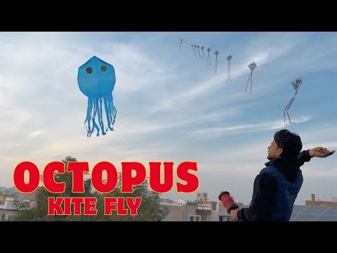 Octopus 🐙 Kite Flying #kiteflying #octopuskite #kite #kiteflying #octopuskite #gamechangerskiteclub