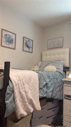 Reflections on Freshman Year: It's Already Over!