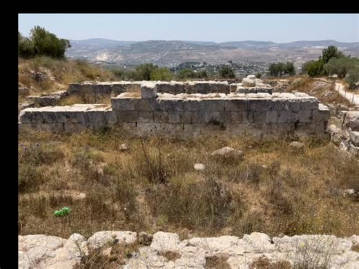 Tel Sebaste or the ancient Samaria city of the Omride kings of Israel like Ahab #sébaste #sebaste | Seth Adcock