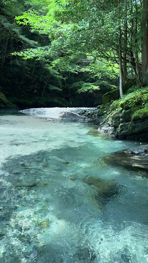 美しい渓谷の川の中を撮影した自然動画