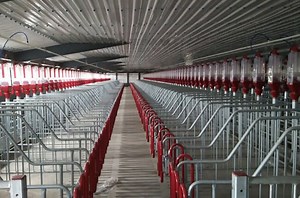 Pig Farming Equipment Manufacturers South Africa