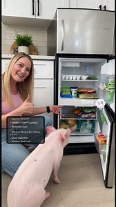 Insignia™ - 4.5 Cu. Ft. Mini Fridge with Top Freezer and ENERGY STAR Certification - Stainless Steel