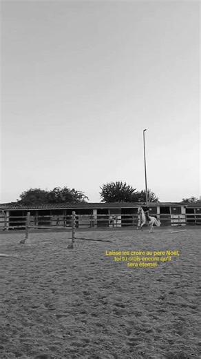 🐇 #horse #concour #equestrian #cheval #pony #cso