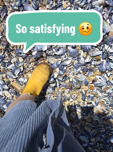 Crunchy sensory overload! #frankiesunshine #shells #sensory #fun #nature