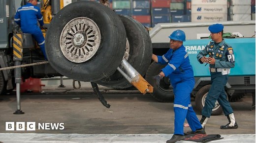 Boeing 737 Max Lion Air crash caused by series of failures