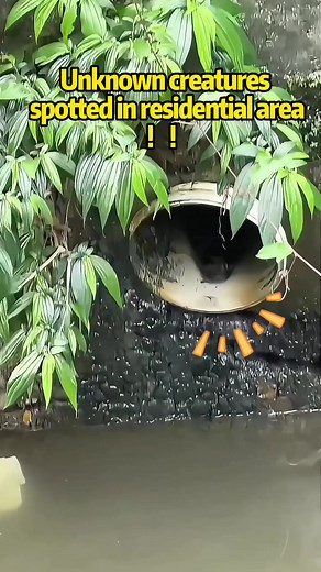 Pipeline Detection with Advanced Robotics
