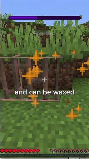 🚨 Mojang CHANGED Signs In Minecraft