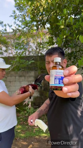 BACTIDOL Declogging PREMOXIL 550 | Effective Chicken Health Solutions