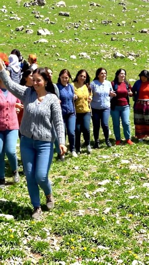Halay Oynayan Kadınların Renkli ve Coşkulu Anları #halay #kurdish #kurtce #düğün #gelin #halaybasi