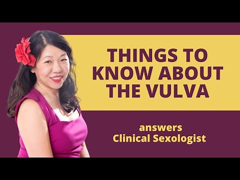 Things to know about the vulva | Explains Dr. Martha Tara Lee