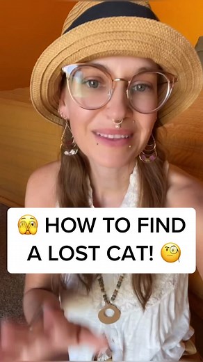 Wild At Heart- Cat Behaviorist on TikTok