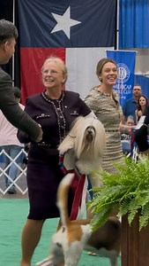 Best In Show at the Beaumont Kennel Club is the Lhasa Apso! Congratulations to Handler Lois DeMers! 💋 GCHS Kimik Tasen Westgate Spin The Bottle FDC 💋 #lhasaapso #nonsportinggroup #caninechronicle #houston #texas | The Canine Chronicle
