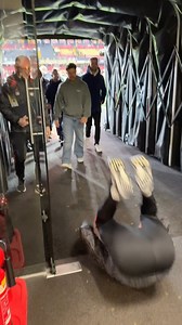 9.7K views · 383 reactions | Never change, @ppr04 藍 | Watford FC | Facebook