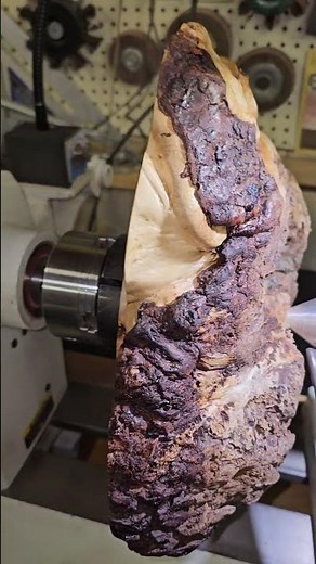 Shady Acres Woodshop - Massive Maple Burl!