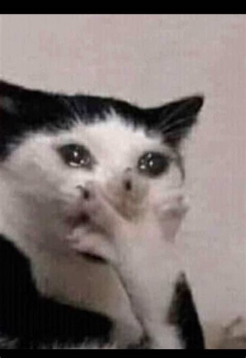 Last Year Jokes That Many Relate To