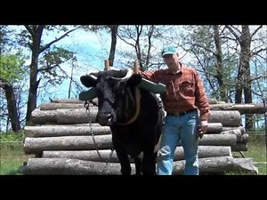 Ox Logging Extreme Stacking.wmv
